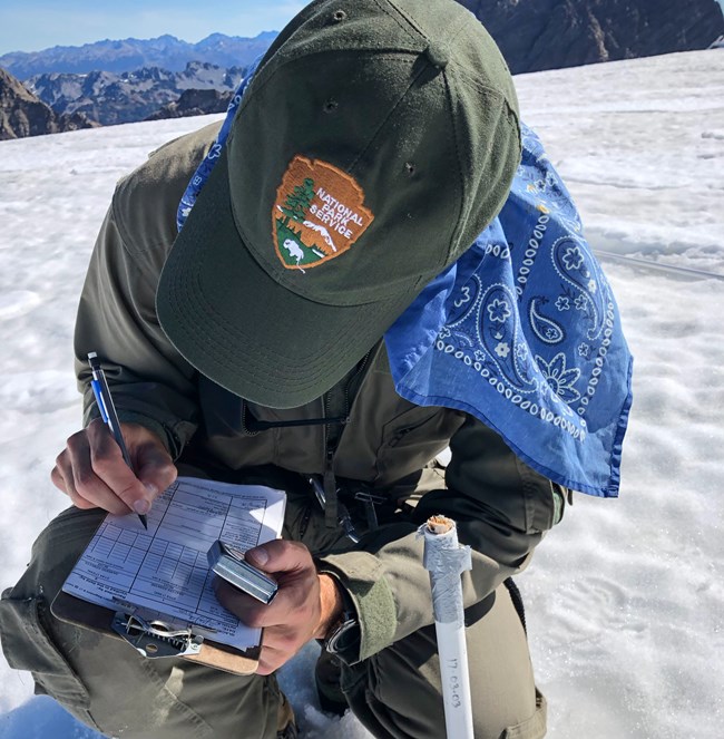 A person wearing an NPS ballcap with a blue bandana tucked underneath crouches on a snow-covered glacier. The NPS worker has some sort of measuring equipment and is writing on a datasheet.