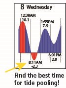 A tide table showing the low and high tides for a day with the caption, "Find the best time for tide pooling!"