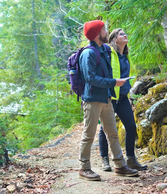 A man and woman stand on a forest trail, both wearing hiking gear. The man, wearing a red beanie and backpack, looks up while holding a guide. The woman, in a bright jacket, gazes upwards as well. They are surrounded by dense green trees and moss-covered