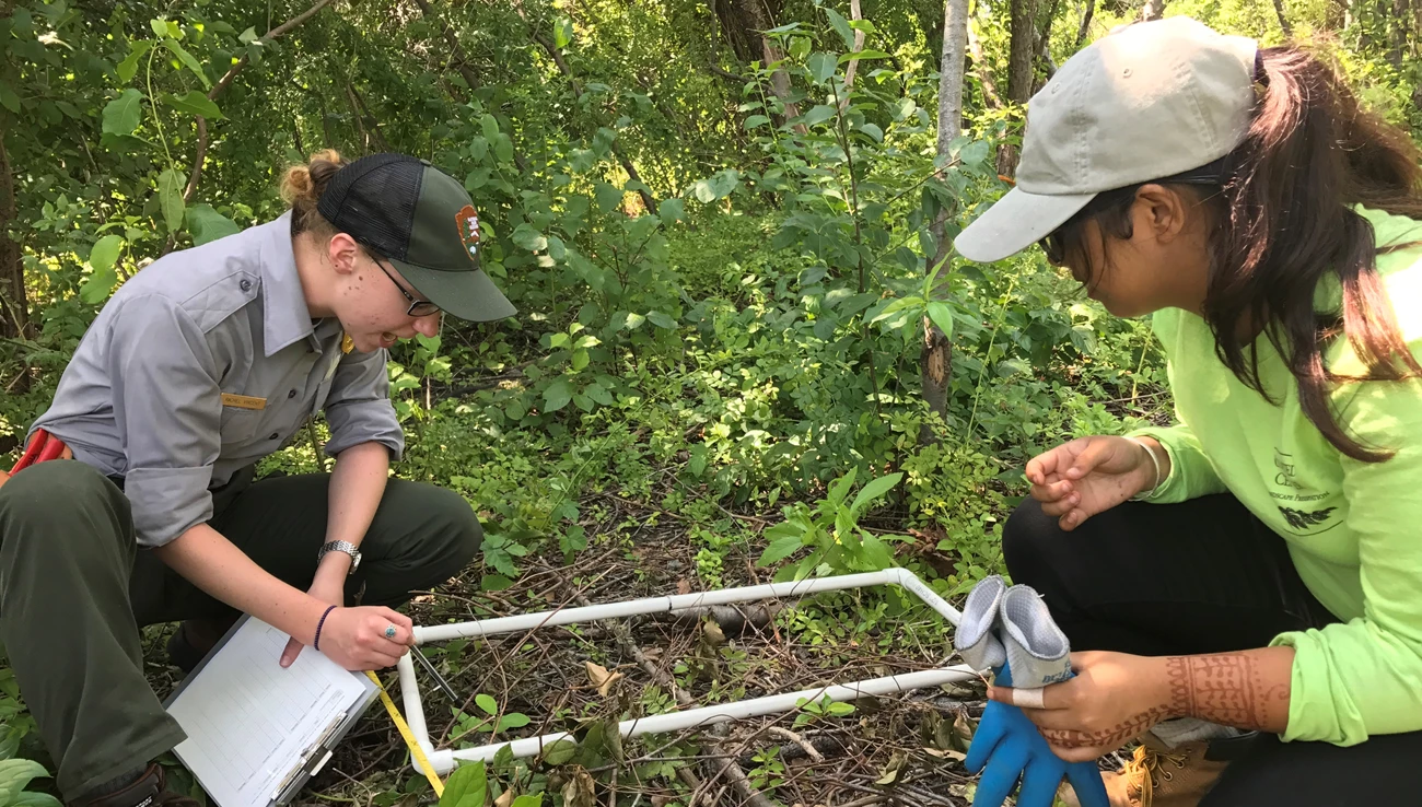 BOHA Branching Out-crop A person in NPS uniform with a clipboard points to the ground as a Branching Out participant looks on.