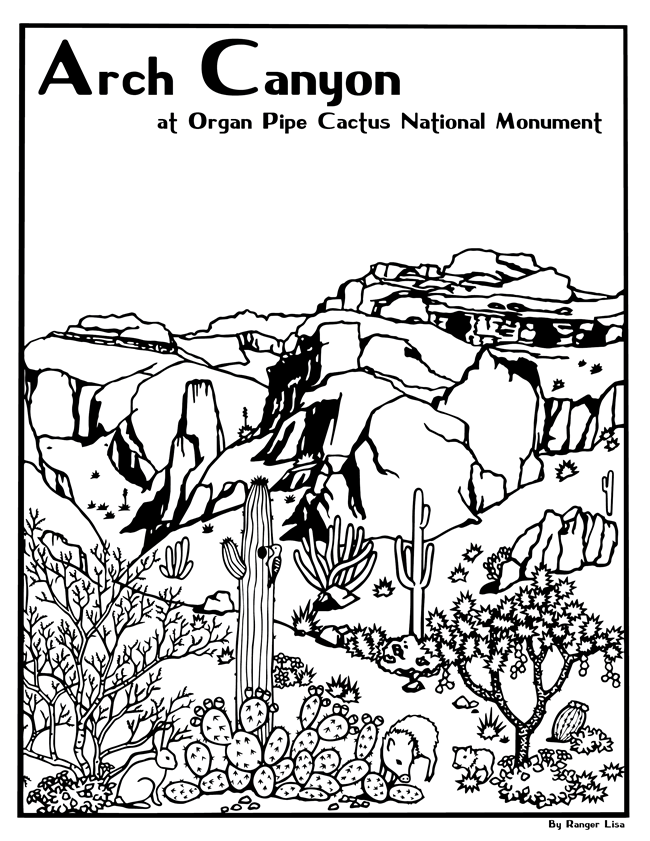 Coloring page of a desert canyon with the text "Arch Canyon at Organ Pipe Cactus National Monument."