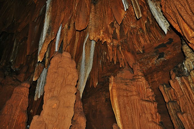 Round Spring Cave formations of brown and white