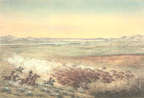 Indians Driving Buffalo Over a Cliff