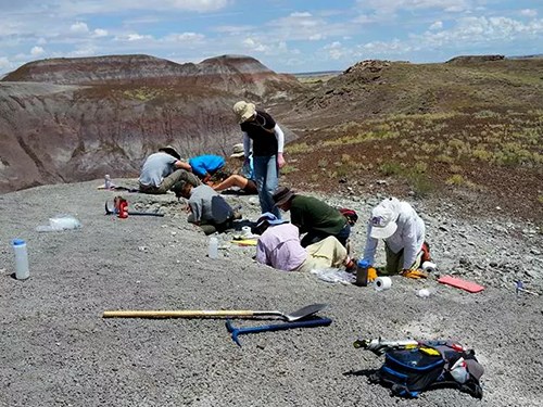 Participants in Field Institute excavation