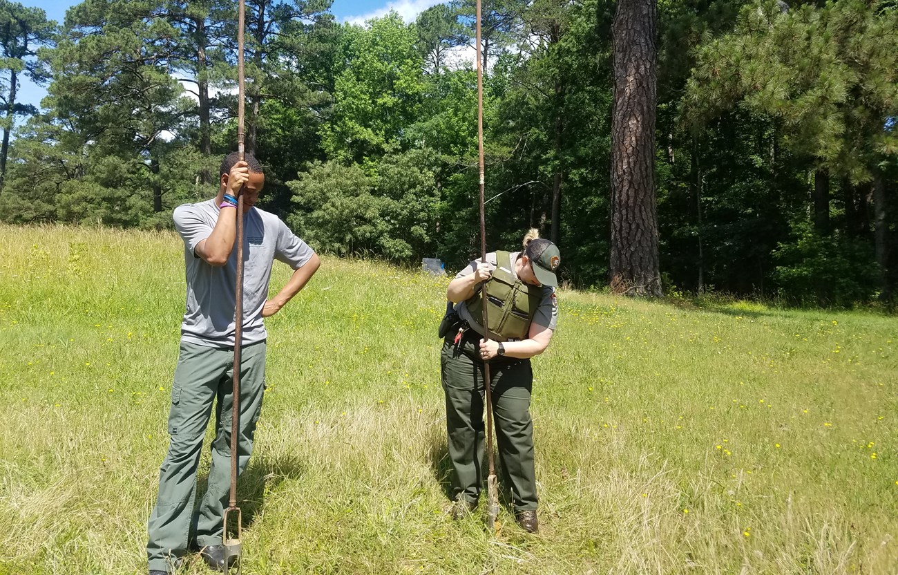 Two park employees stand with tall metal rods, called augers, trying to locate a countermine underground.