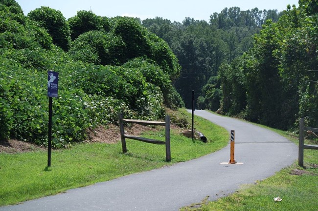 Purple Martin Greenway