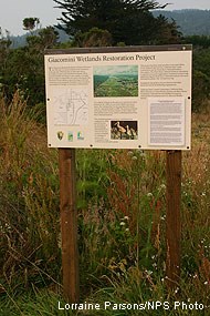 Interpretative sign along Lagunitas Creek spur trail with posted update.