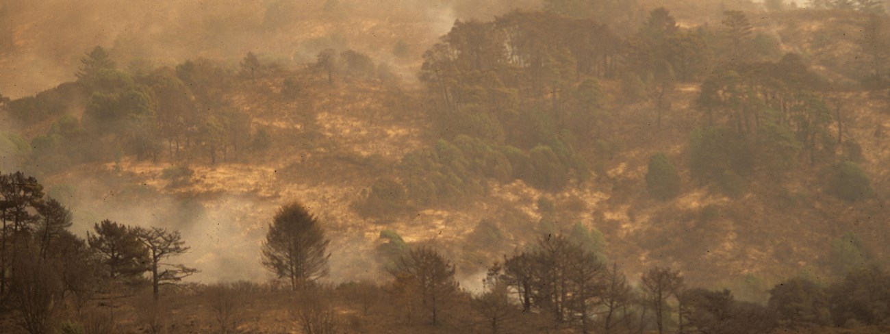 Burnt and unburnt vegetation forms a mosaic pattern on a hillside.