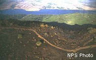 A trail passes through a wildfire-burnt landscape near the edge of green woodlands in the background.