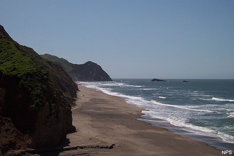 Mirando hacia el sur a lo largo de la playa Wildcat desde el campamento Wildcat. El Océano Pacífico está a la derecha. Una playa de arena se extiende desde el primer plano hacia Alamere Falls, que es visible en la distancia en el centro de la imagen.