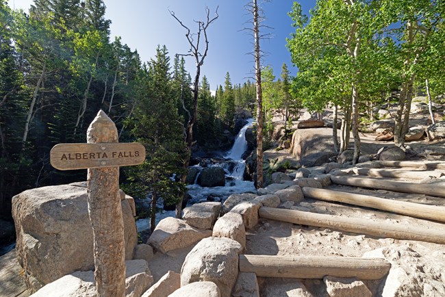 Alberta Falls Trail_July 2025 Alberta Falls Trail_July 2025