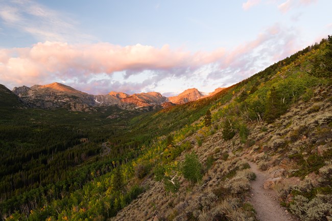 Fall Colors Along the Bierstadt Trail in early September