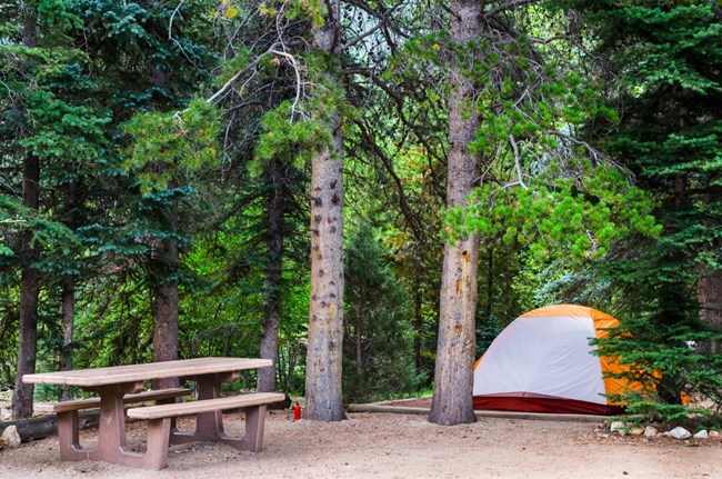 Camping with a tent in Aspenglen in summer