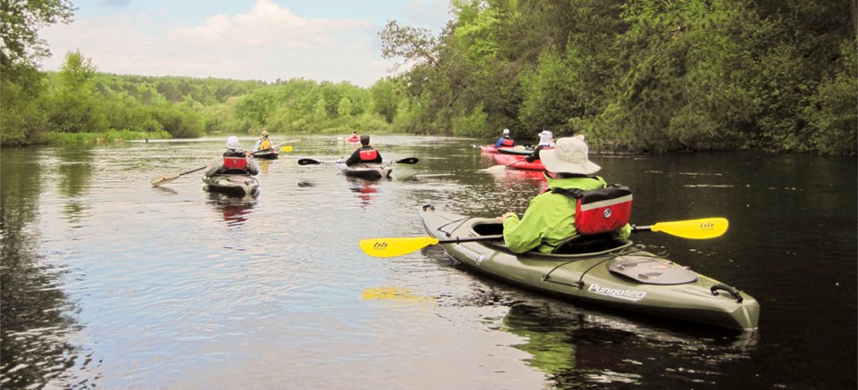 Kayaks glide by a forested landscape.