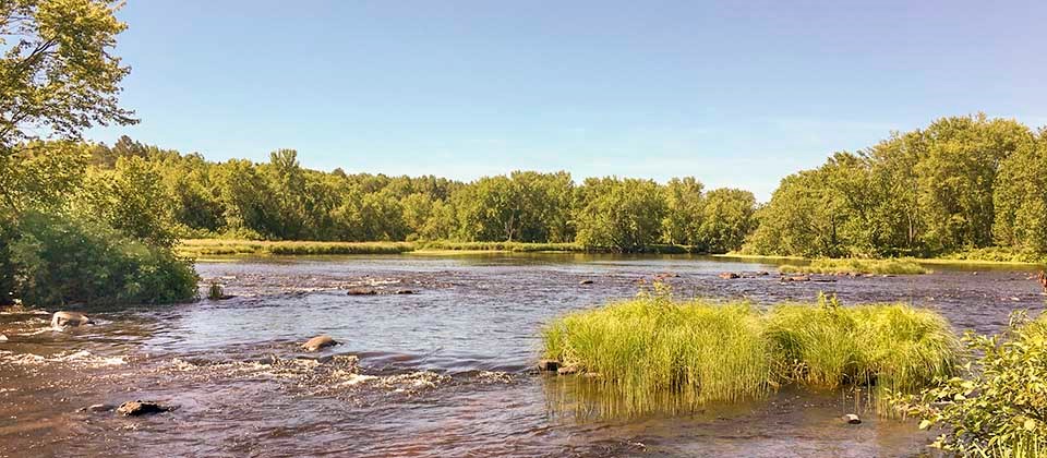 A shallow river flows through a forested landscape.