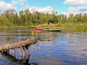 Two kayakers paddle past a log in a river.