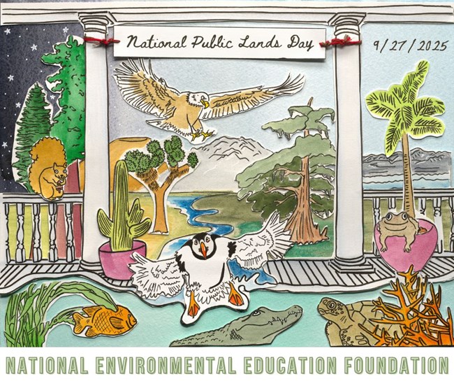 illustration of nature with words National Public Lands Day