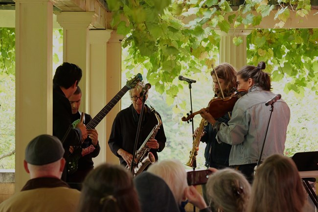musicians on pergola