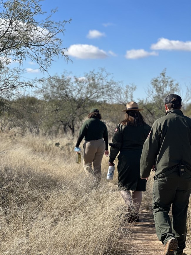 Three rangers hike along a trail in the Rincon Mountain District