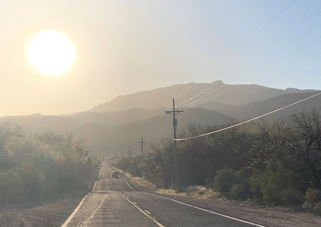 sunrise behind saguaro cacti