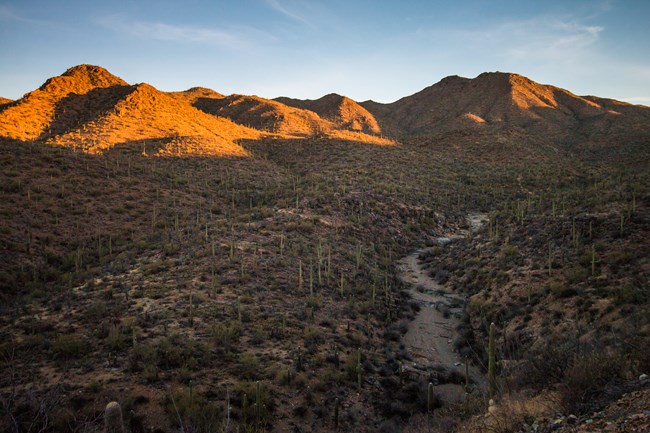 King Canyon Trail