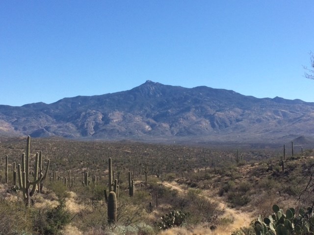 Rincon Peak