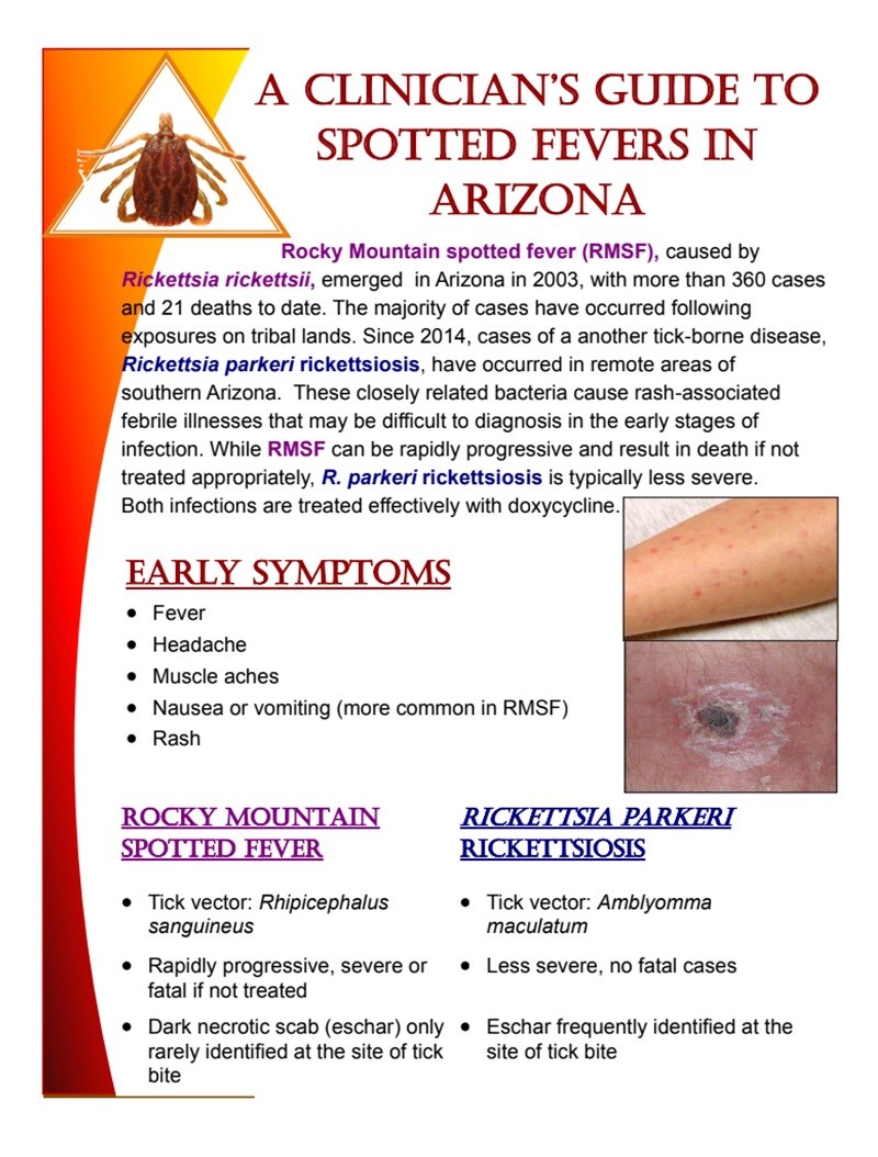 spotted fever flyer