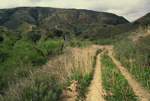 Corral-Canyon-Trail