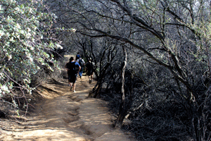 Temescal Gateway