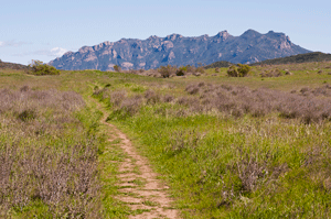 La Jolla Valley