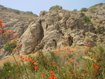 Upper Las Virgenes