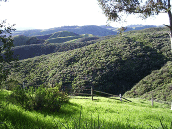 Upper Las Virgenes