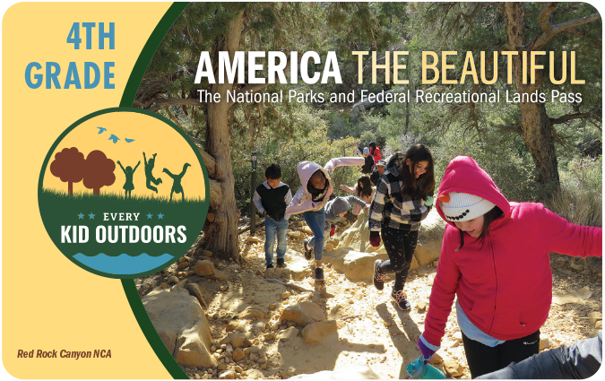 A plastic pass featuring a photo of a group of children on a trail through woods.