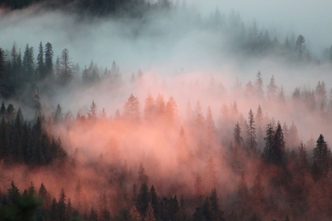 A foggy day