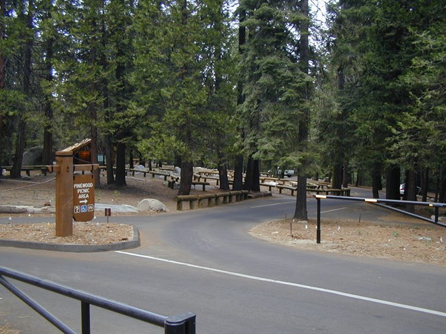 Pinewood picnic area