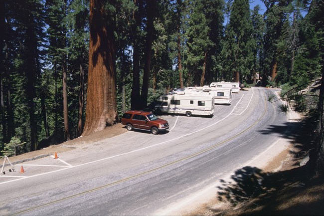 Recreation vehicles park along the Generals Highway
