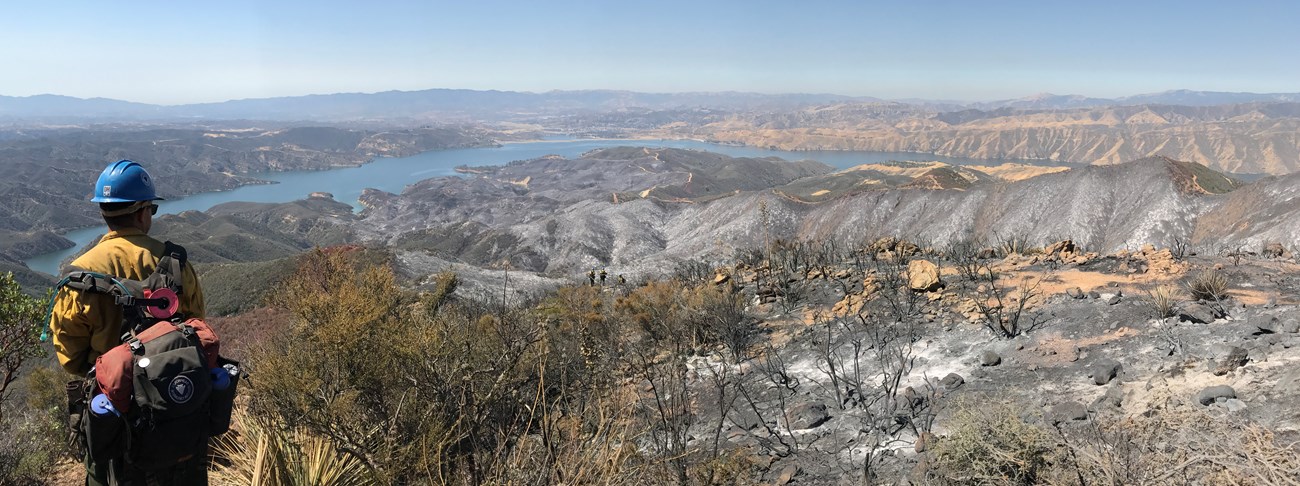 Firefighter looks out over a burned vista