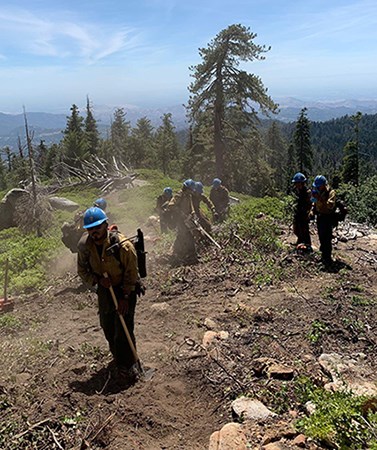 Hotshots create fireline during a drill.