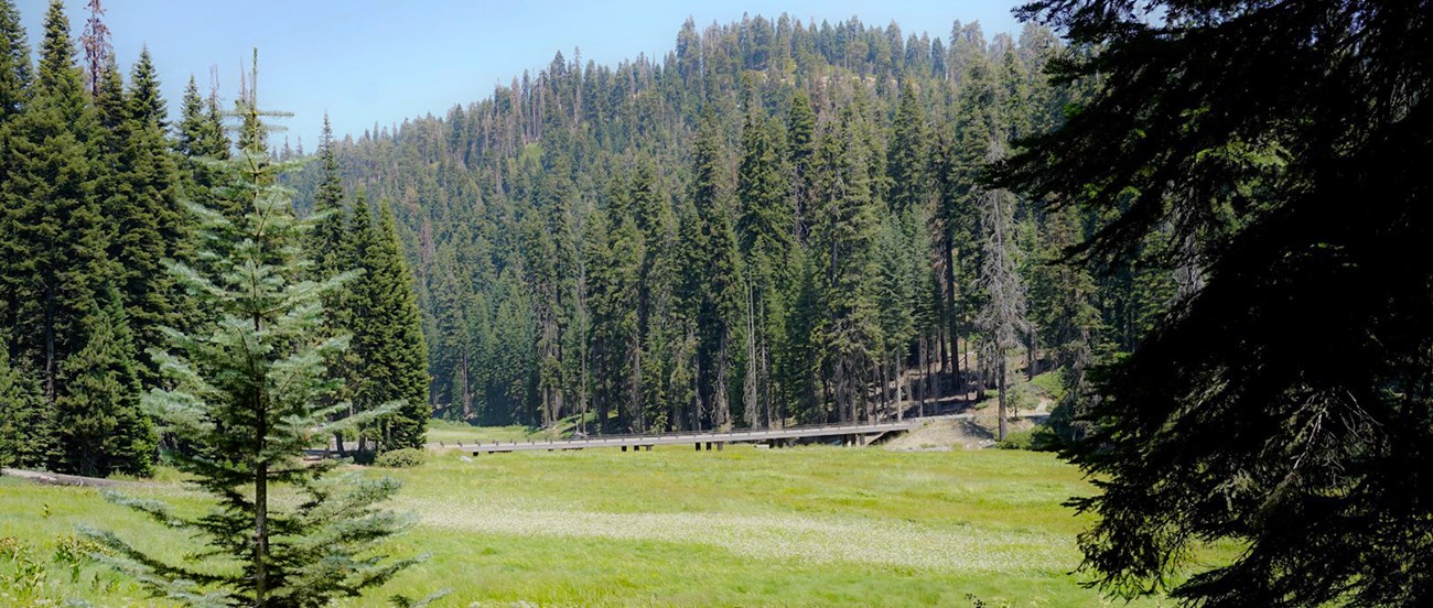 A bridge passes over a large green meadow.