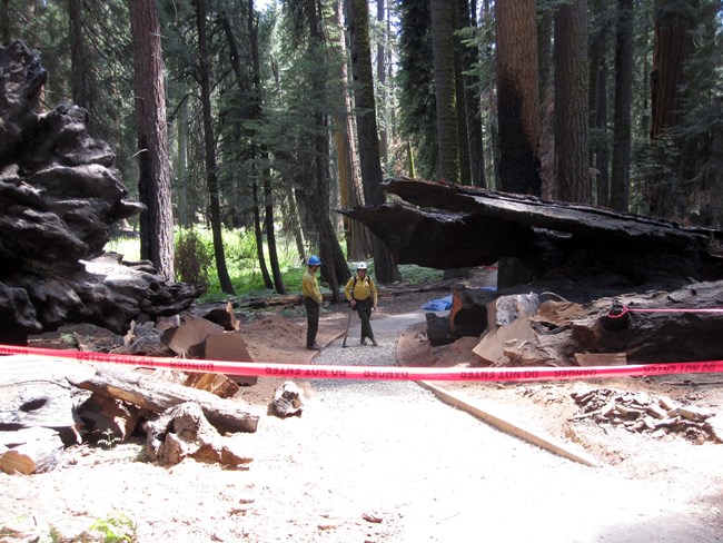 Fire staff stand behind a plastic tape closing an area