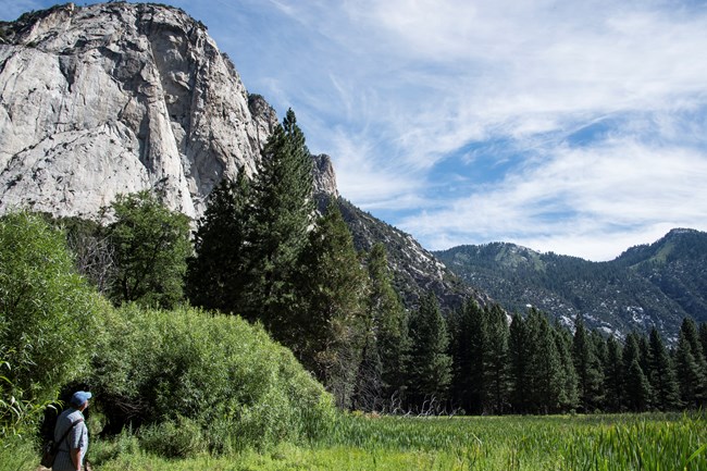 A visitor looks upon a vast meadow surrounded by granite walls.