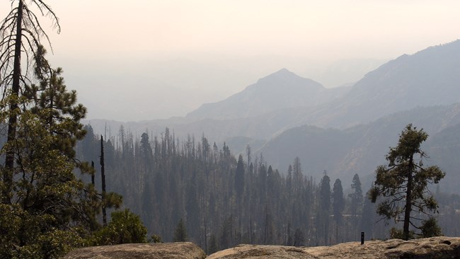 A smoke filled vista of mountain ridges as seen from the Giant Forest webcam.
