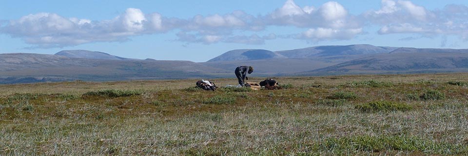 An archaeologist gets to work in the Arctic tundra.