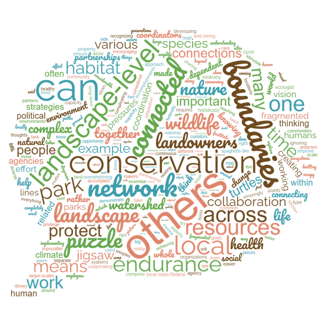 What does C2 mean to you? word cloud in shape of thought bubble that includes words like conservation, boundaries, and connections