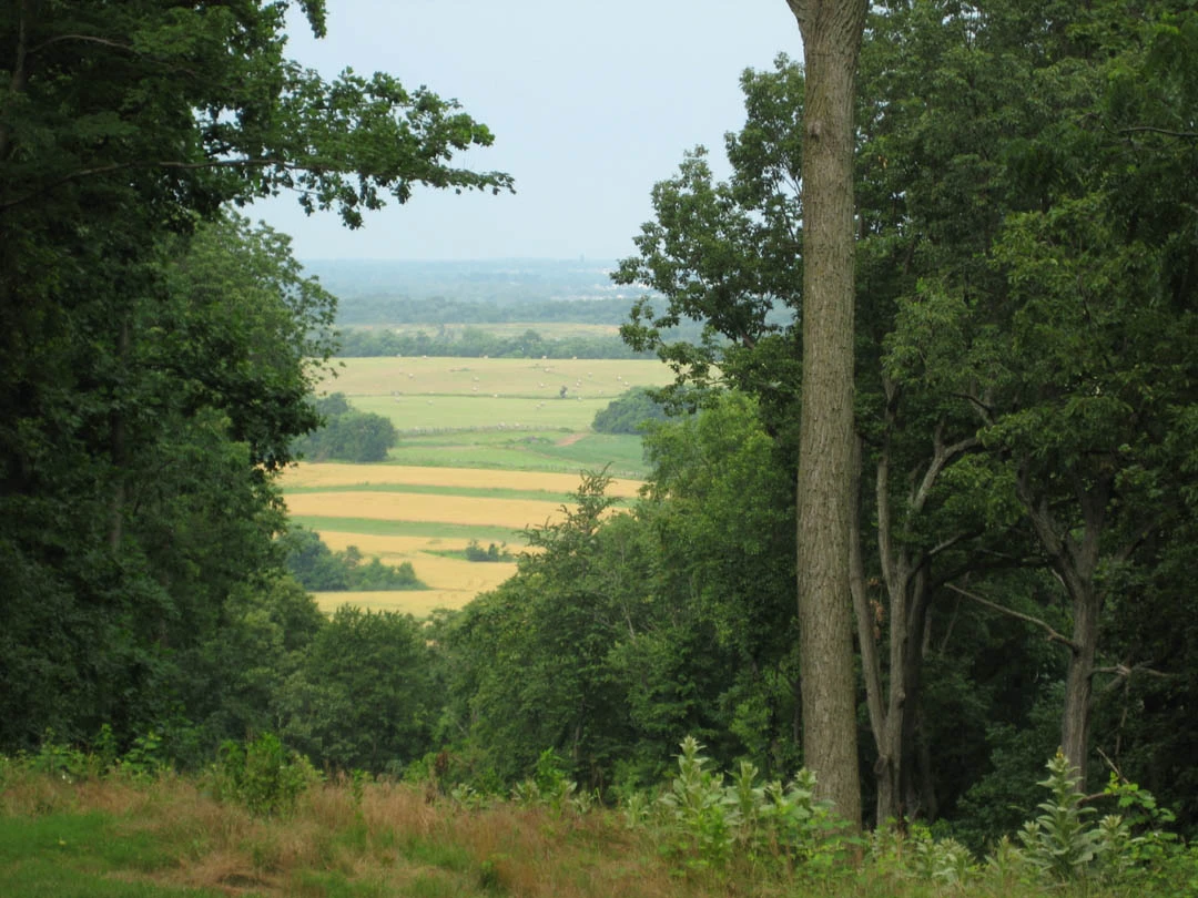 Bolivar Heights view of School House Ridge North Agricultural fields are visible in the distance through a break in a row of trees.