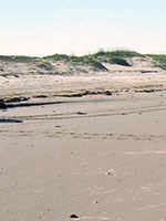 Padre Island National Seashore