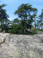 Voyageurs National Park.