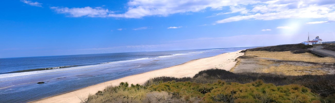 sandy beach and open water