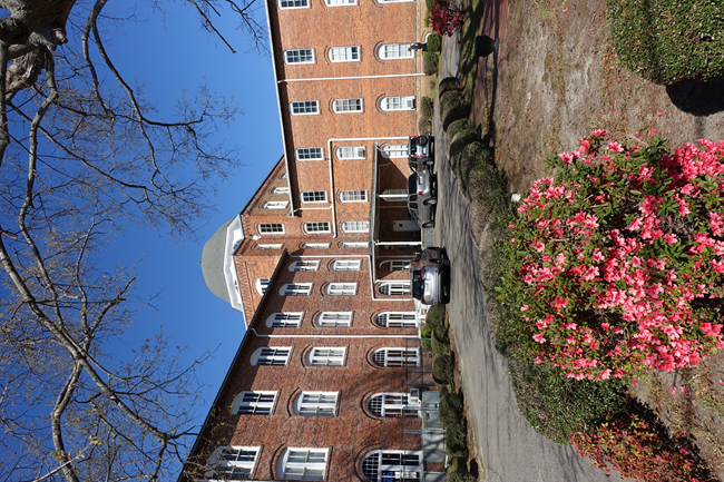 Exterior photograph of brick building with tree and shrub in foreground.
