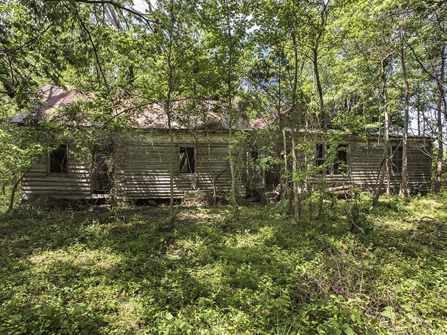 Image of a two story brown clapboard house surrounded by trees and grass.